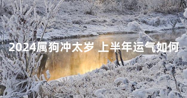 2024属狗冲太岁 上半年运气如何